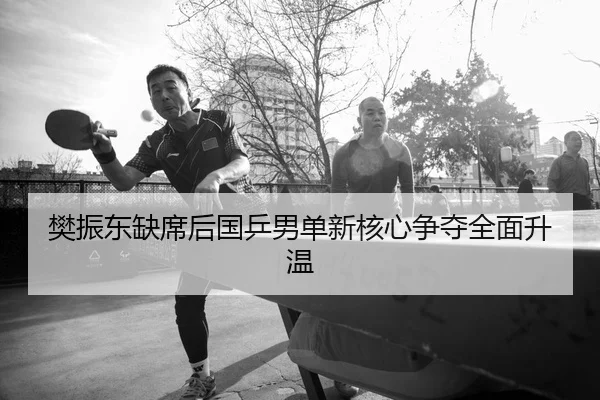 樊振东缺席后国乒男单新核心争夺全面升温