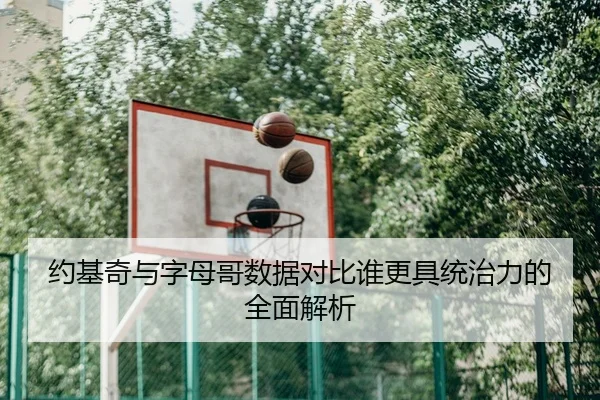 约基奇与字母哥数据对比谁更具统治力的全面解析