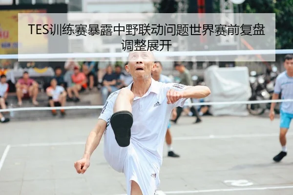 TES训练赛暴露中野联动问题世界赛前复盘调整展开